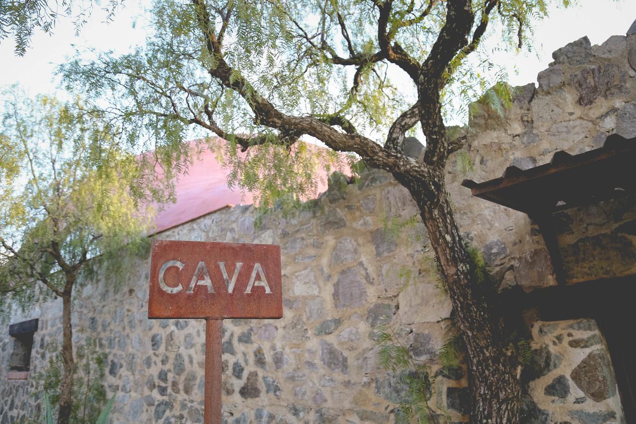 Hotel Camino De Vinos Guanajuato Exteriör bild